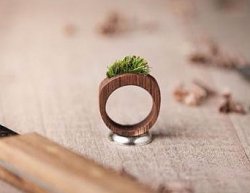 Оригинальное деревянное кольцо своими руками 